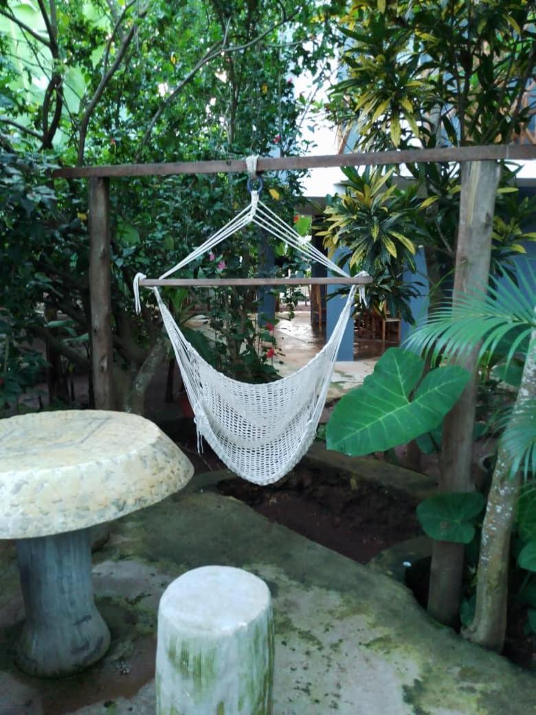 Panopano House Nungwi
