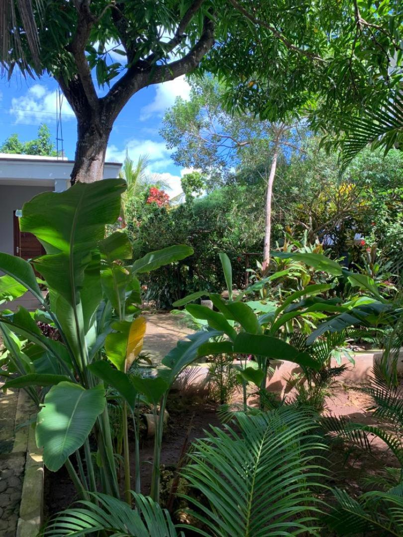 Bed & Breakfast Panopano House *