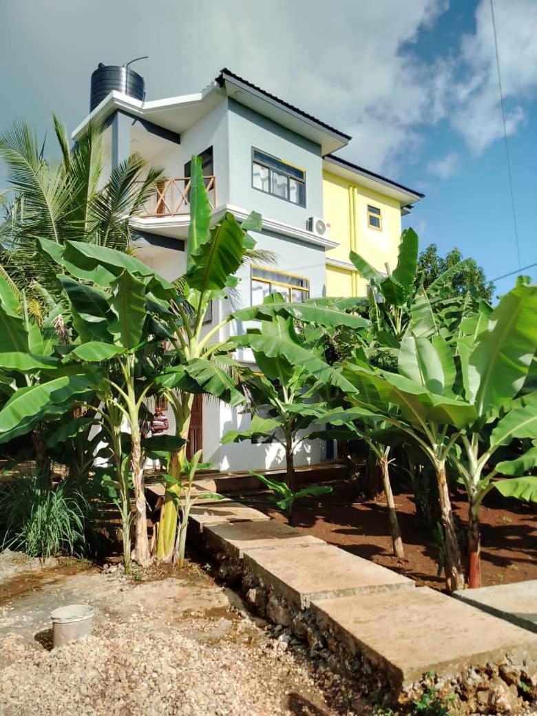 Panopano House Bed & Breakfast *